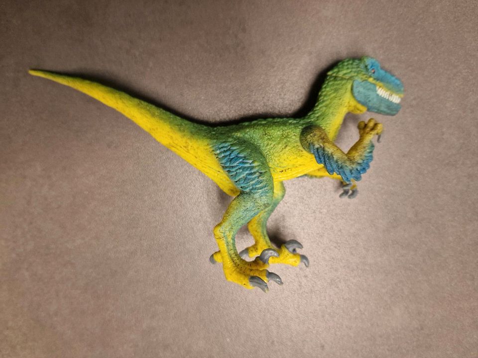 Velociraptor Schleich Dinosaurier neuwertig in Aach