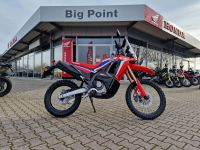 Honda CRF 300 Rally Rheinland-Pfalz - Speyer Vorschau