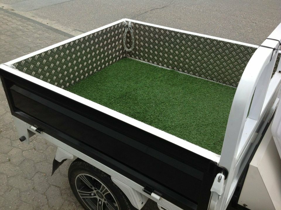 Elektrofahrzeug Kabinenroller Elektro Lasten Pick Up Trike in Lorsch