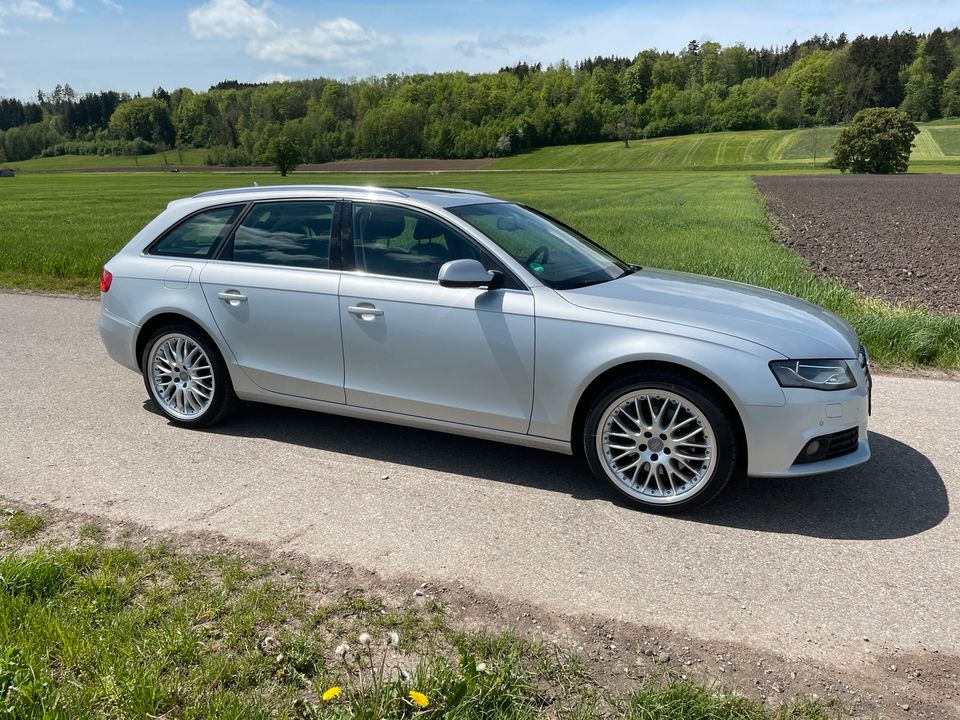 Audi A4 3,0 TDI Quattro in Dirlewang