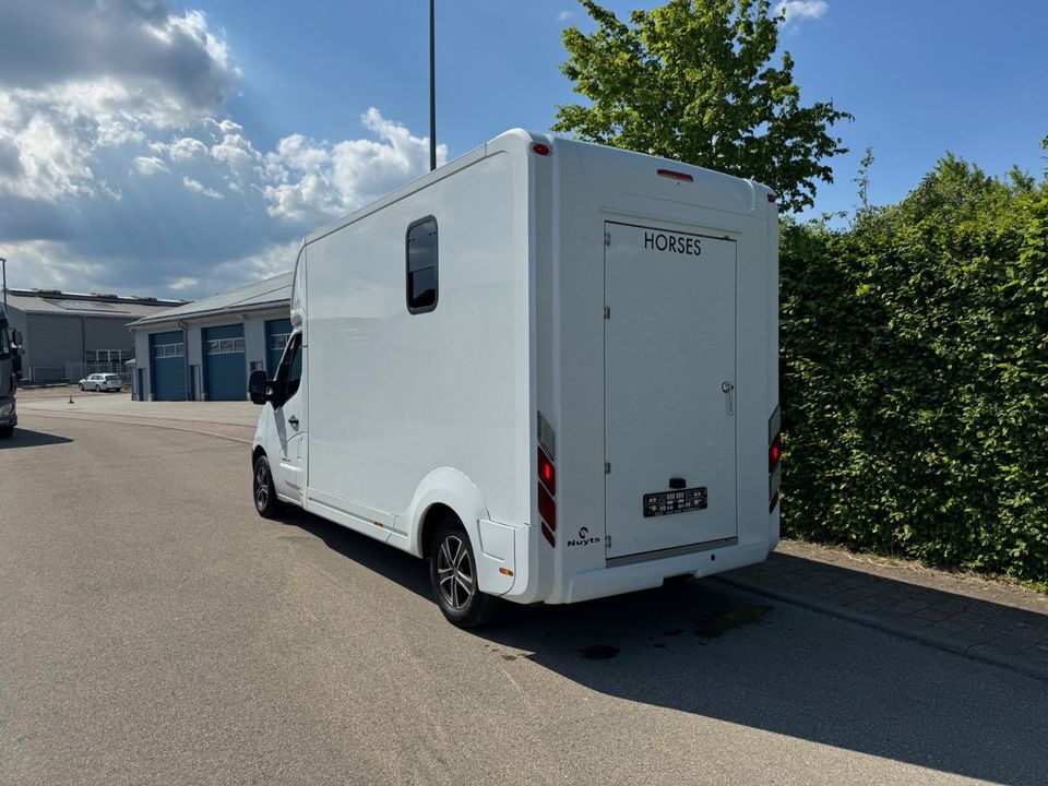 Pferdetransporter Viehtransporter Tiertransporter LKW Nuyts 3,5t in Unterschneidheim