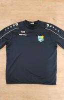CFC Fanshop Trikot Sachsen - Chemnitz Vorschau