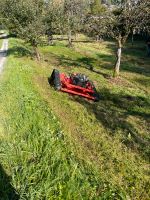 Mäharbeiten agria - AS Motor Baden-Württemberg - Roigheim Vorschau