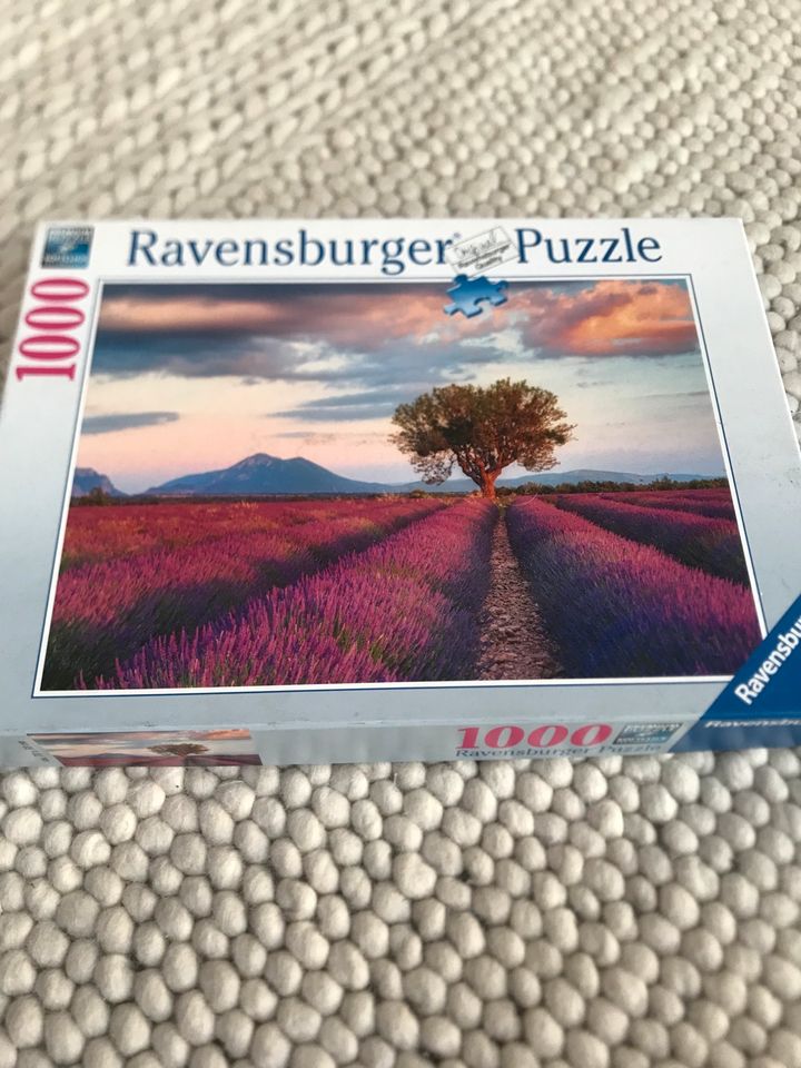 4 Puzzle a 1000 Teile in Kiel