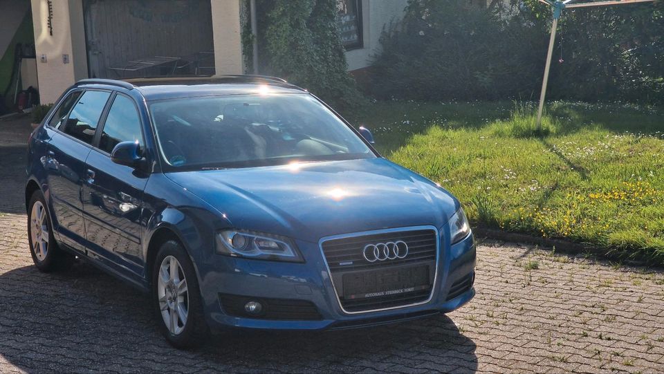 Audi A3 Quatro 2.0 TFSI Pano. AHK. SHZ Erste Hand in Schönbrunn