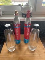 SodaStream Quick Connect Zylinder, Glasflaschen Bayern - Offenberg Vorschau