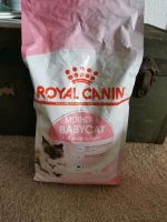 Royal Canin - Mother & Babycat - 2kg Trockenfutter Parchim - Landkreis - Tessenow Vorschau