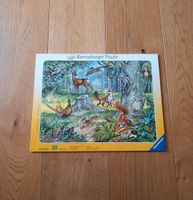 Ravensburger Puzzle 30 Teile "Was lebt und wächst im Wald" Bayern - Landshut Vorschau