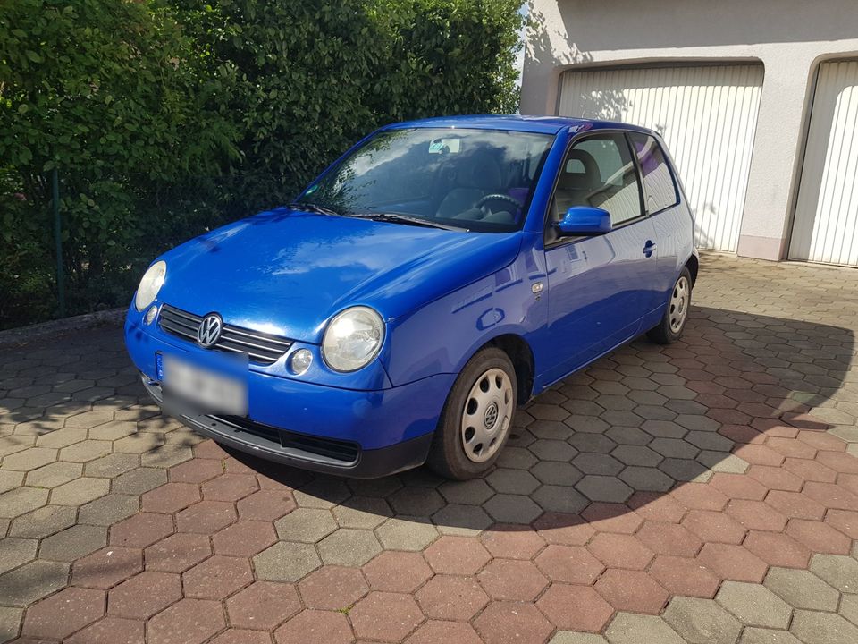 VW Lupo Winterauto Anfängerauto in Priesendorf