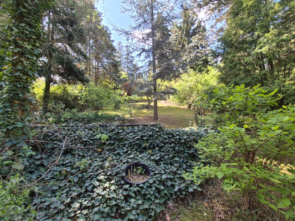 Idyllischer Eigentumsgarten Erfurt Löbervorstadt in Erfurt