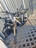 E-Bike Damen 27,5" Thüringen - Hörselberg-Hainich Vorschau