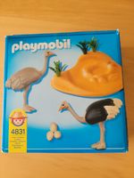 Playmobil 4831 Straußenpaar mit Nest Zoo Nordrhein-Westfalen - Herzebrock-Clarholz Vorschau