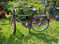 Herren Fahrrad 26 Zoll KETTLER Alu- Rad Nordrhein-Westfalen - Willich Vorschau