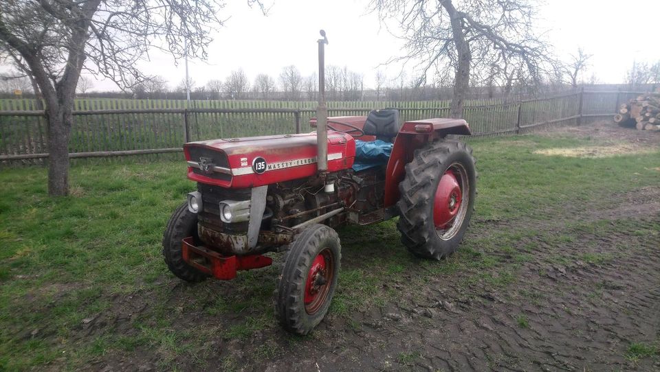 Massey Ferguson MF 135, Multipower, Perkins in Frohburg