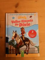 Lesen lernen Wendy Pferdegeschichten Thüringen - Zella-Mehlis Vorschau