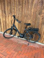 Pegasus Opero E8P E-Bike Niedersachsen - Vierden Vorschau