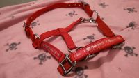 Shetty Nylon Halfter Rot Glitzer pony "i love Horse" Harrys Horse Brandenburg - Schwedt (Oder) Vorschau