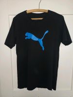 Puma Basic T-Shirt Herren / Größe M Sachsen - Bautzen Vorschau