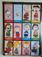 Peanuts Poster/Bild,Dekoration,Sammlung,Charles M.Schulz Pankow - Prenzlauer Berg Vorschau