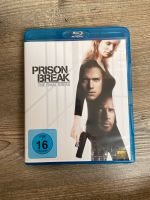 BluRay Creed, Prison Break, Herz aus Stahl, Nightcrawler Bayern - Amberg Vorschau