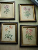 Deko Bilder Blumenbilder Bilderrahmen Botanica Kupferstich West - Nied Vorschau
