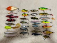 Jerkbaits Wobbler Swimbaits Salmo Illex Savage Gear Spro Rügen - Sassnitz Vorschau