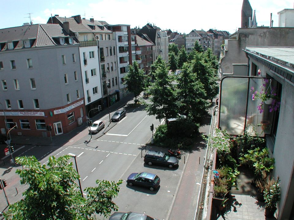 Der nächste Sommer kann kommen in Köln