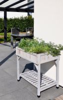 Neu & OVP, Outlet Angebot – Kräutergarten & Cover Bundle, VegTrug Baden-Württemberg - Backnang Vorschau