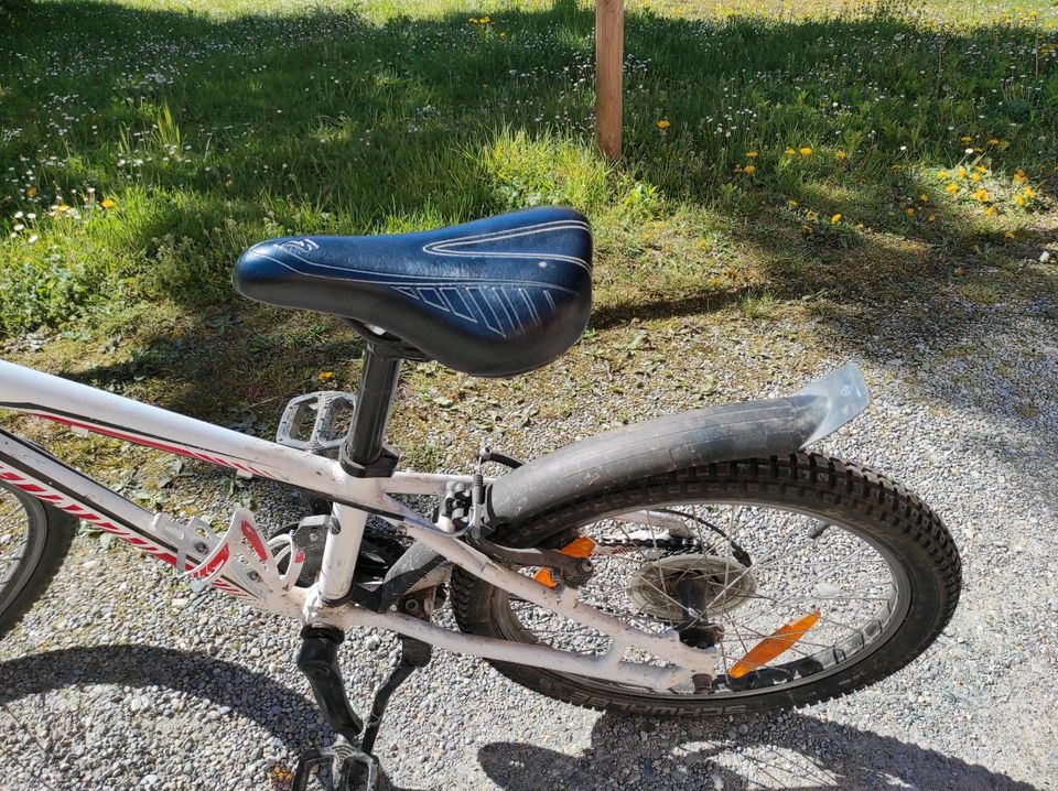 Fahrrad Specialized Kinderfahrrad Mountenbike in Schlier