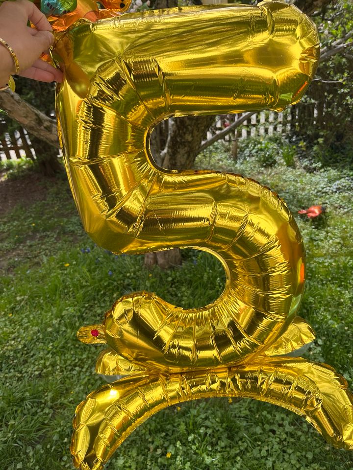 Geburtstag Deko Dino Luftballon in Biessenhofen
