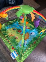 Fisherprice Regenwald Spielmatte mit Musik, Lichtern, bunte Figur Niedersachsen - Northeim Vorschau