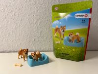 Schleich Farm World 42479 Hund Shiba Inu Mutter u. Welpe + OVP Nordrhein-Westfalen - Elsdorf Vorschau