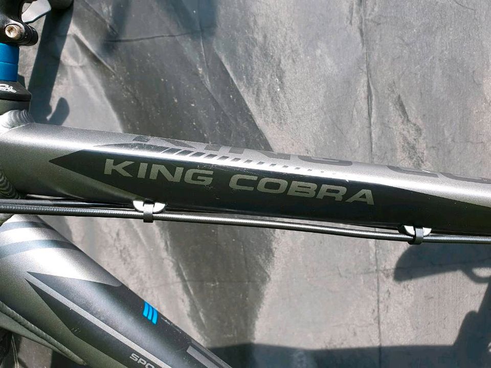 Mountainbike Bulls King Cobra in Xanten