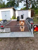 ANHÄNGERVERMIETUNG  für MOTORRÄDER / ROLLER / QUAD Thüringen - Erfurt Vorschau