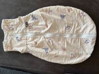 Alvi Schlafsack Gr. 80 ganzjährig Dresden - Pieschen Vorschau