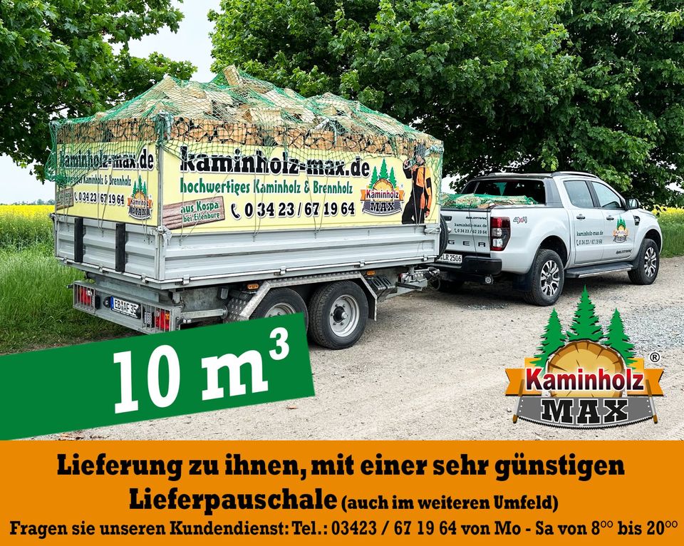 ab 4 m³ bis zu 35 m³ und  bis 50 km um Coswig, Dessau, Wittenberg , Oranienbaum   Kaminholz, Brennholz, Feuerholz, Holzvergaser, Kamin, Holz, Feuer, Brenn in Coswig (Anhalt)