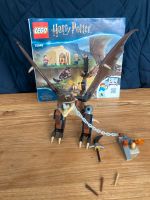 Harry Potter  Lego 75946  Drachen Trimagische Turnier Niedersachsen - Bendestorf Vorschau