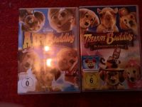 Dvds Air Buddies, Treasure Buddies und Zwischen zwei Leben Bayern - Arnstein Vorschau