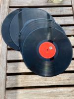 Vinyl Schallplatten groß 40 Stück Nordrhein-Westfalen - Steinheim Vorschau