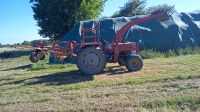 Massey Ferguson 135 Mecklenburg-Vorpommern - Wohlenhagen Vorschau