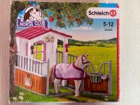 Schleich Horse Club Pferdebox mit Pferd Bayern - Forchheim Vorschau