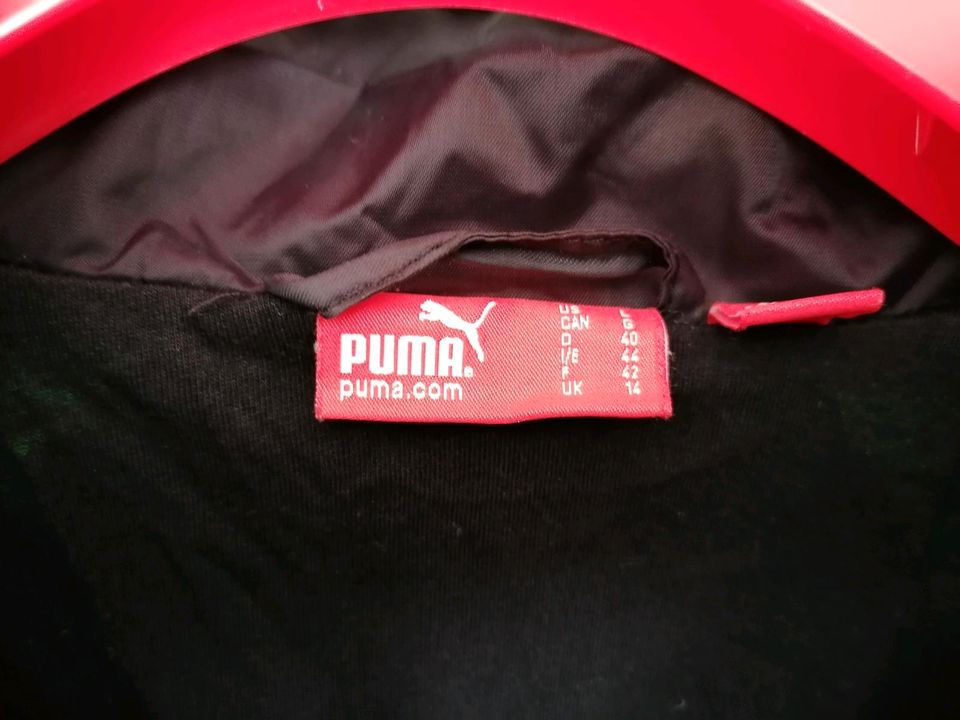 Puma Sport Jacke Gr.40 in Bielefeld