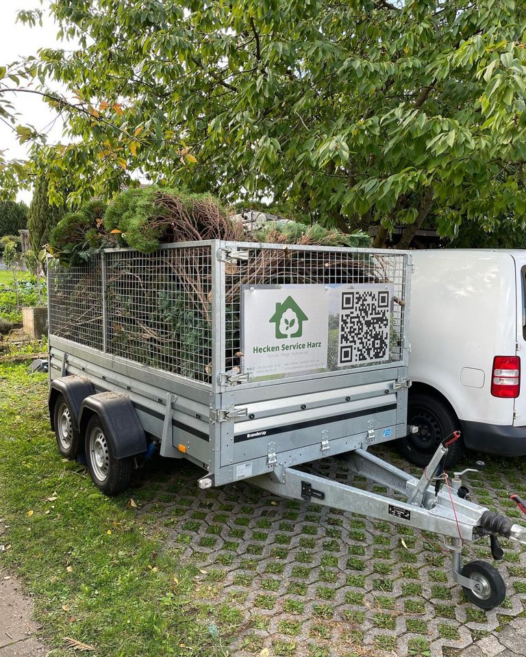 Wir holen Ihren Grünschnitt ab und entsorgen fachgerecht! in Hattorf am Harz