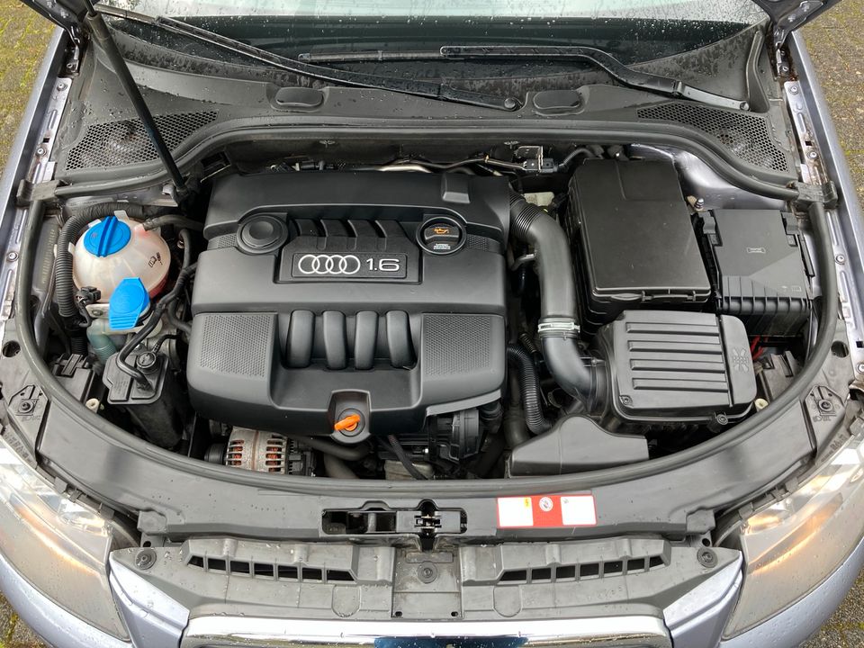 Audi A3 Sportback 1.6 8P Facelift KEIN WARTUNGSSTAU 8xFachbereift in Brühl