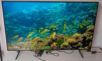 Samsung Smart TV UHD 55 Zoll Niedersachsen - Walsrode Vorschau