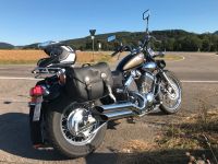 Yamaha Virago 535 Baden-Württemberg - Renningen Vorschau