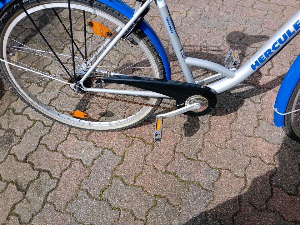 Gepflegtes 28Zoll Hercules Mädchen-Damenfahrrad 50RH in Großenwiehe