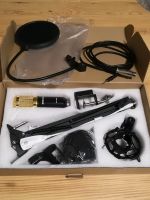 Zingyou BM Microphone Gold-Black Nordrhein-Westfalen - Hürtgenwald Vorschau