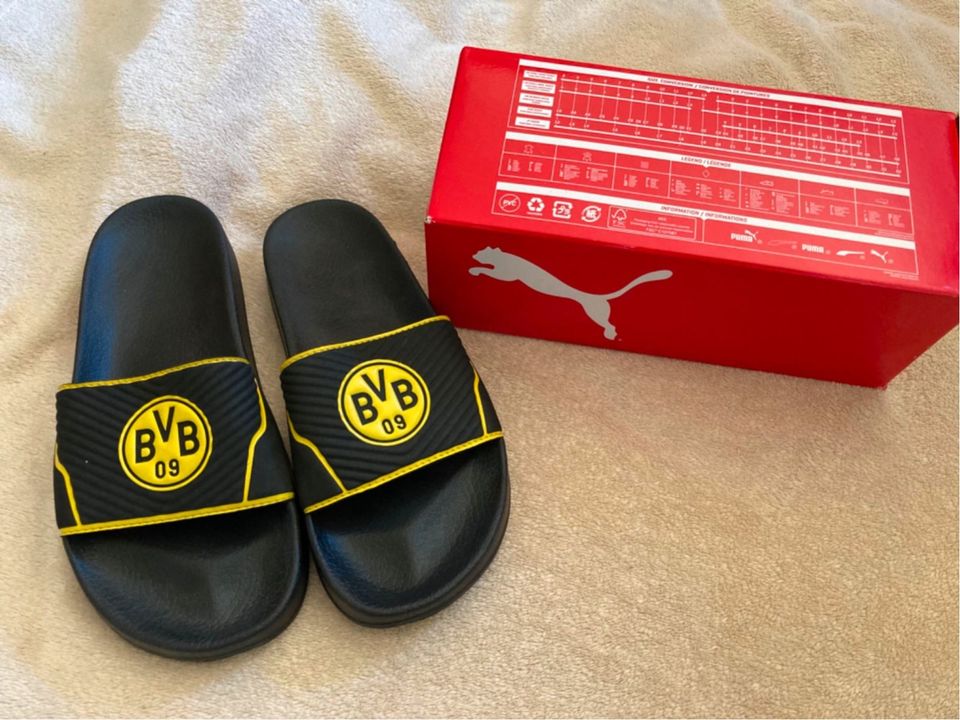 Badeschlappen Schlappen Schuhe BVB Puma Pantoletten in Baden-Württemberg -  Ellwangen (Jagst) | eBay Kleinanzeigen ist jetzt Kleinanzeigen