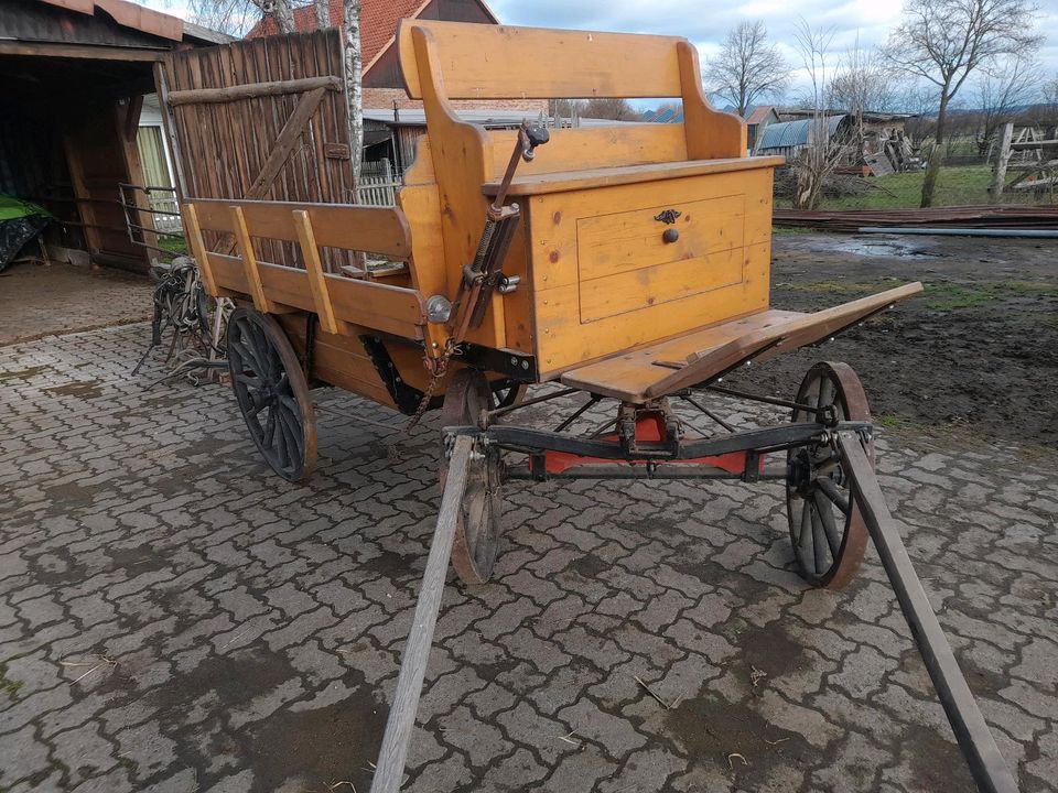 große Kutsche in Seeburg (Niedersachsen)